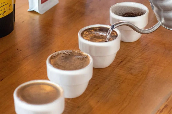 Cupping - Barista en Espresso