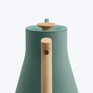Groene waterkoker met houten handvat en deksel, ontworpen voor nauwkeurige temperatuurregeling, onderdeel van Fellow, EspressoGear, alles over koffie