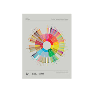 Engels - Poster van de Coffee Taster's Flavor Wheel - SCA ESPRESSO GEAR
